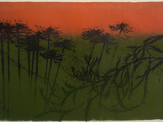 Araucaria, Litografía, 1958, 
Colección Museo Nacional de Bellas Artes