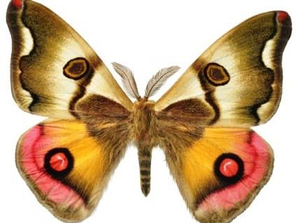 Interesante muestra de ciencias naturales.