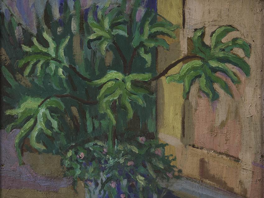 Aralia