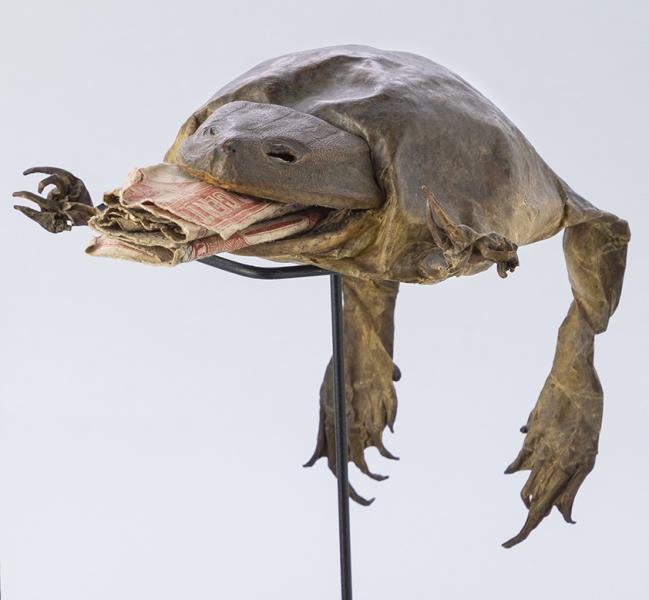 Billetera de rana Billetera de rana